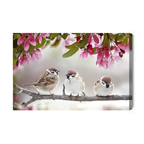 Obraz Na Płótnie Ptaki Wróble