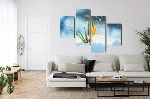 Obraz Wieloczęściowy Żółte Krokusy Przebijające Się Przez Śnieg