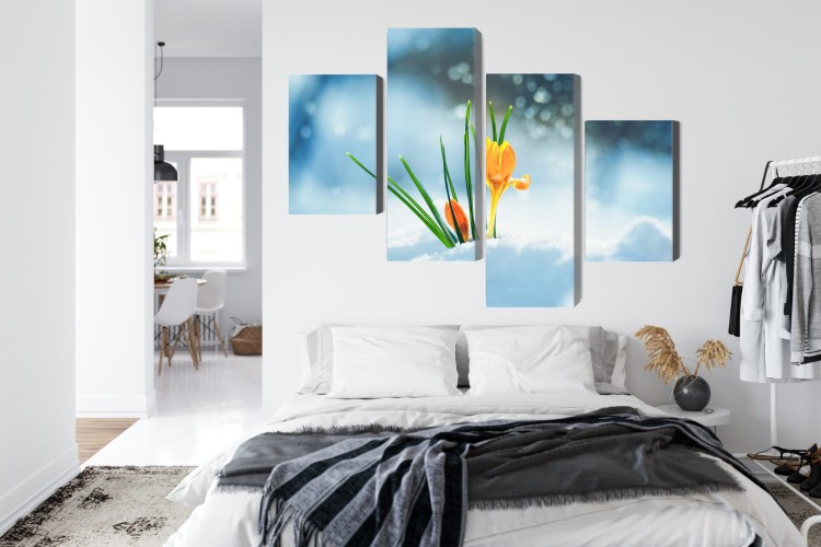 Obraz Wieloczęściowy Żółte Krokusy Przebijające Się Przez Śnieg