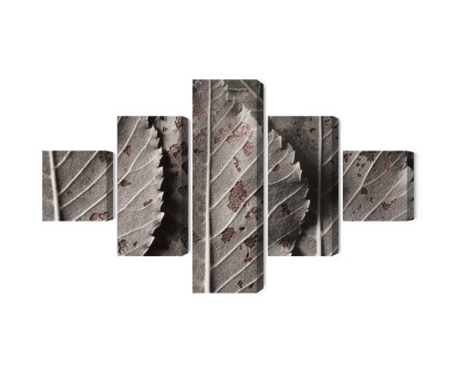 Obraz Wieloczęściowy Szare Liście W Skali Makro