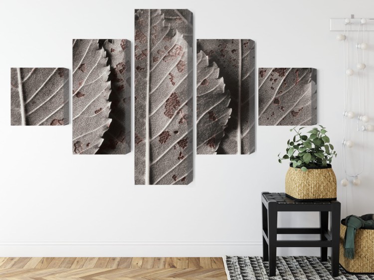Obraz Wieloczęściowy Szare Liście W Skali Makro
