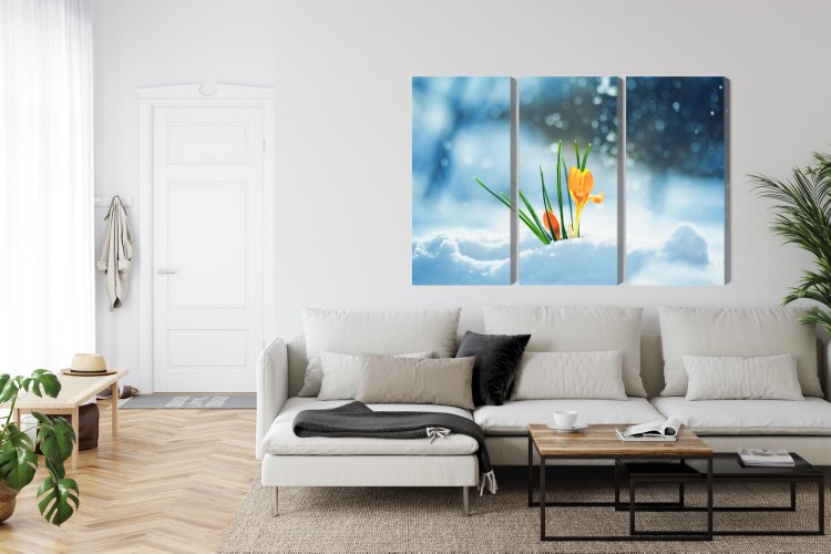 Obraz Wieloczęściowy Żółte Krokusy Przebijające Się Przez Śnieg