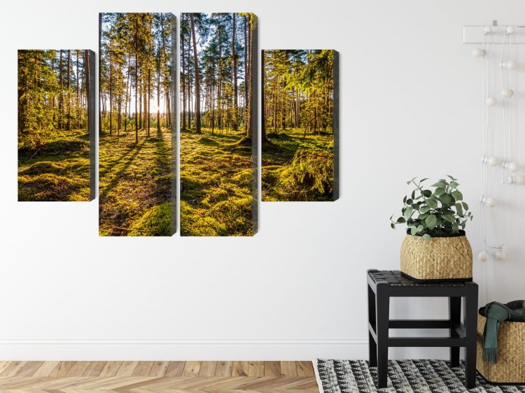 Obraz Wieloczęściowy Słoneczny Leśny Krajobraz 3D