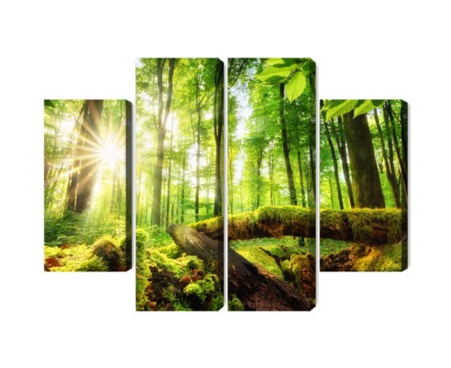 Obraz Wieloczęściowy Promienie Słońca W Lesie 3D