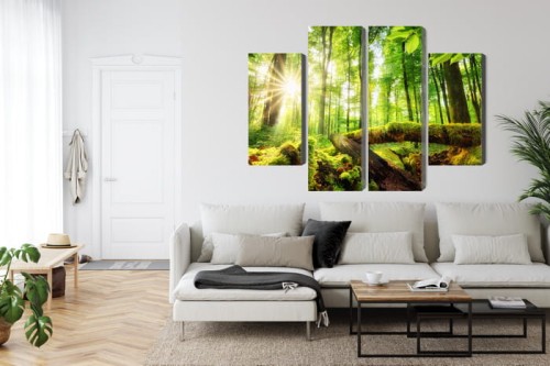 Obraz Wieloczęściowy Promienie Słońca W Lesie 3D