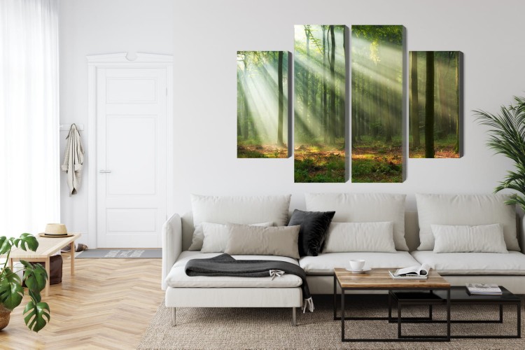 Obraz Wieloczęściowy Leśny Krajobraz O Poranku