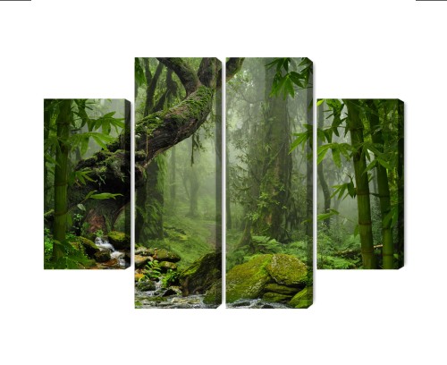 Obraz Wieloczęściowy Zieleń Lasu Deszczowego