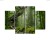 Obraz Wieloczęściowy Zieleń Lasu Deszczowego