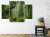 Obraz Wieloczęściowy Zieleń Lasu Deszczowego