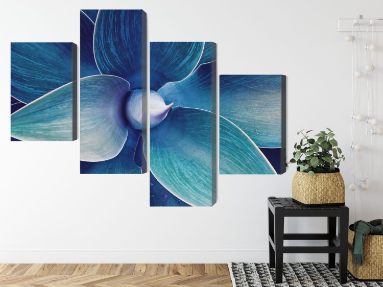 Obraz Wieloczęściowy Widok Z Góry Rośliny W Skali Makro