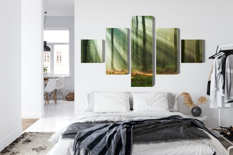 Obraz Wieloczęściowy Leśny Krajobraz O Poranku