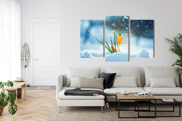 Obraz Wieloczęściowy Żółte Krokusy Przebijające Się Przez Śnieg