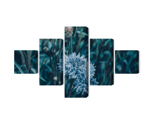 Obraz Wieloczęściowy Chabry Na Łące 3D