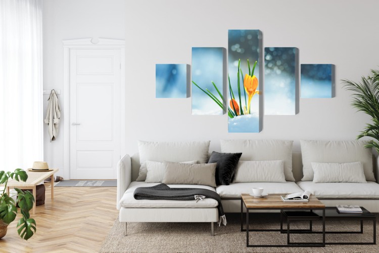 Obraz Wieloczęściowy Żółte Krokusy Przebijające Się Przez Śnieg