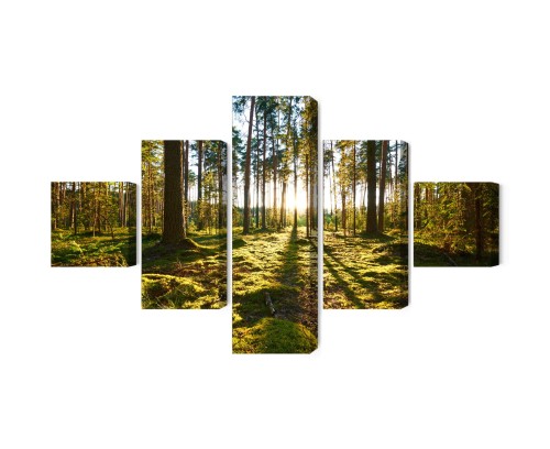 Obraz Wieloczęściowy Leśny Krajobraz Z Zachodem Słońca