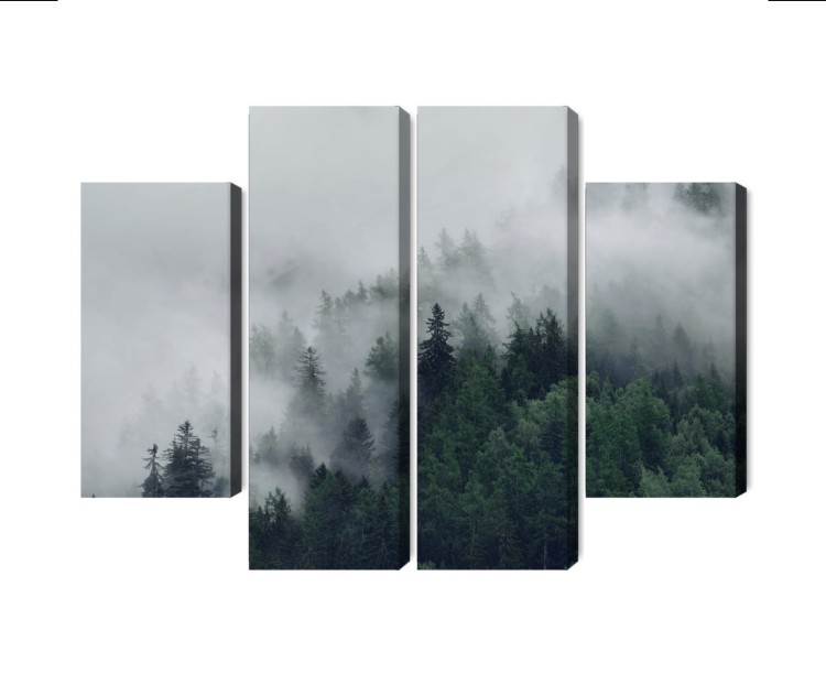 Obraz Wieloczęściowy Zielony Mglisty Las