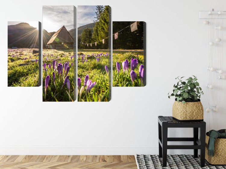 Obraz Wieloczęściowy Dolina Chochołowska W Tatrach 3D