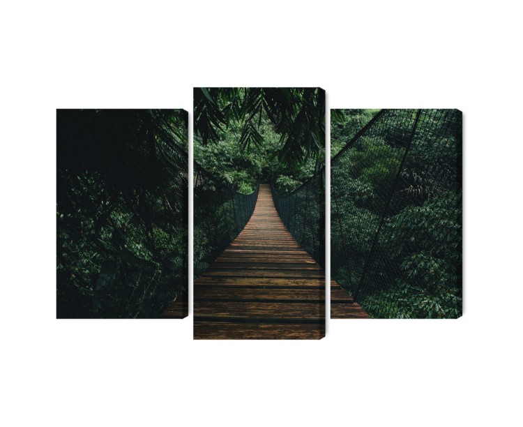 Obraz Wieloczęściowy Drewniany Most Wiszący W Lesie