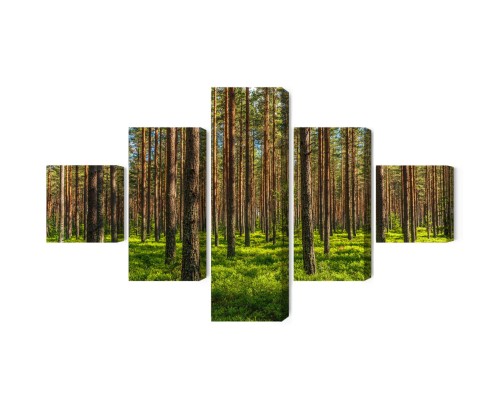 Obraz Wieloczęściowy Las Sosnowy 3D