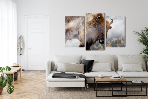 Obraz Wieloczęściowy Żubr Na Tle Mglistego Lasu