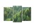 Obraz Wieloczęściowy Zieleń Lasu