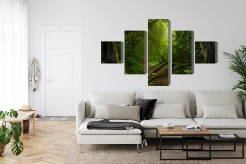 Obraz Wieloczęściowy Ścieżka W Tropikalnym Lesie