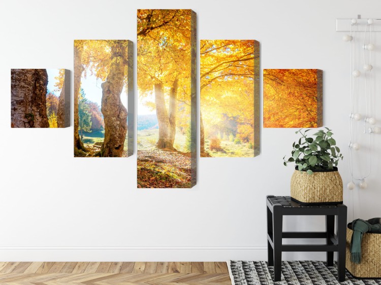 Obraz Wieloczęściowy Słoneczny Jesienny Las