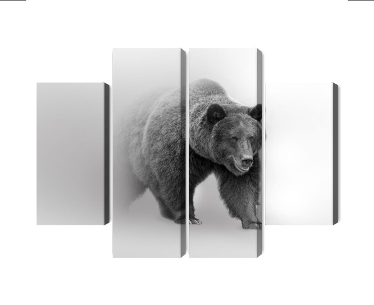 Obraz Wieloczęściowy Niedźwiedź We Mgle 3D