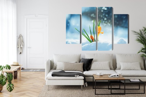 Obraz Wieloczęściowy Żółte Krokusy Przebijające Się Przez Śnieg