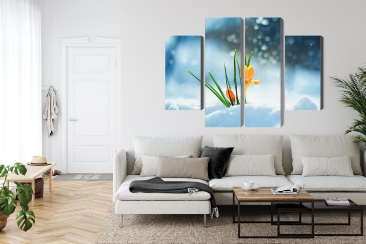 Obraz Wieloczęściowy Żółte Krokusy Przebijające Się Przez Śnieg