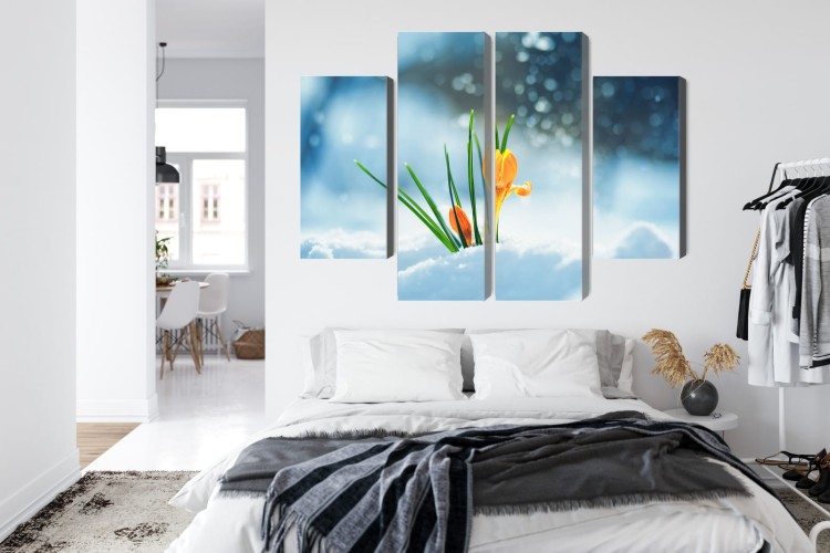 Obraz Wieloczęściowy Żółte Krokusy Przebijające Się Przez Śnieg