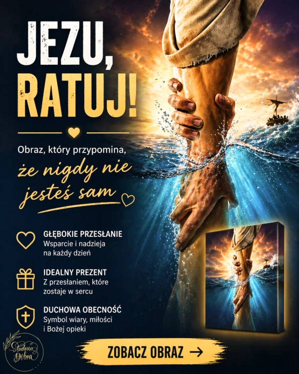 Projekt bez nazwy (3).png