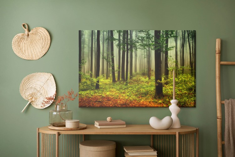 Obraz Na Płótnie Leśny Pejzaż 3D