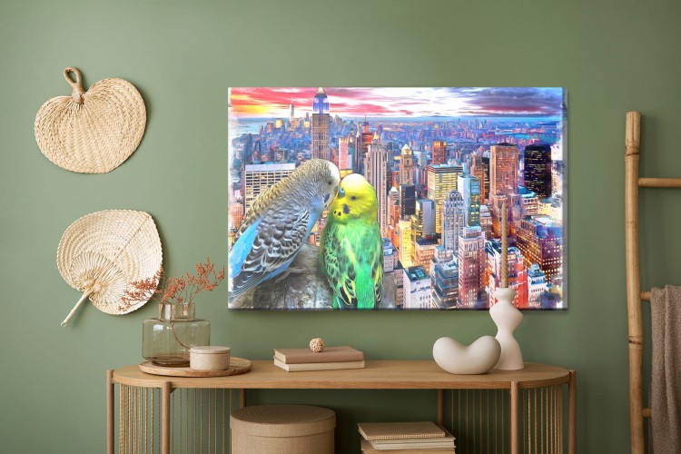 Obraz Na Płótnie Papużki Faliste Na Tle Nowego Jorku