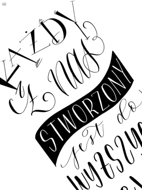 F68277F0-E48D-4643-B7ED-B7C1052F9AFF.png