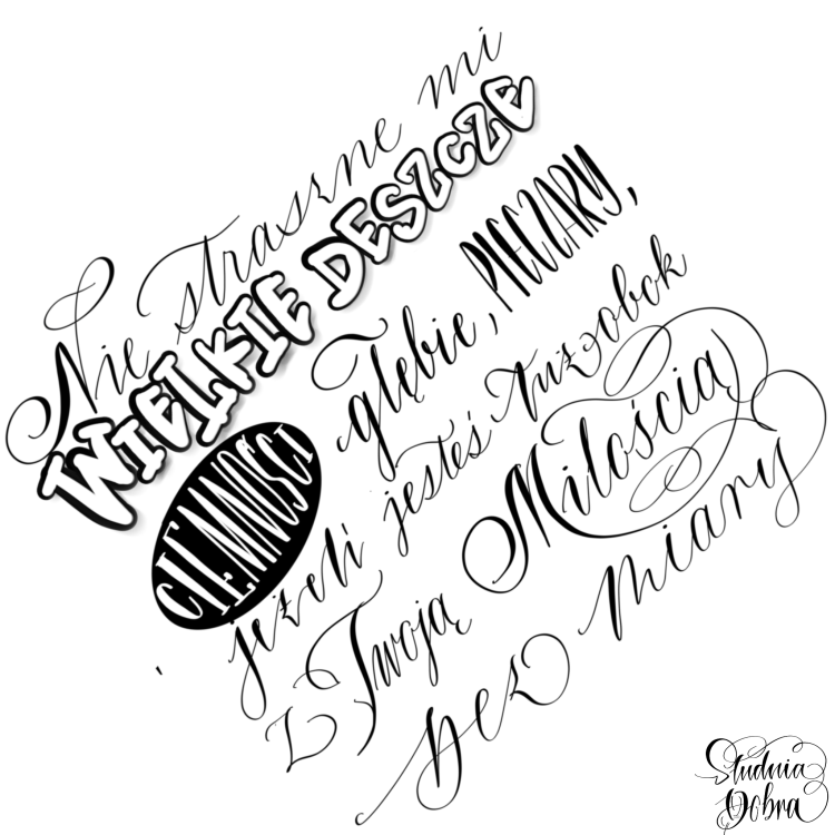 IMG_8943.PNG