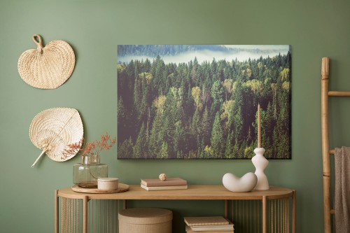 Obraz Na Płótnie Las Z Mgłą W Tle