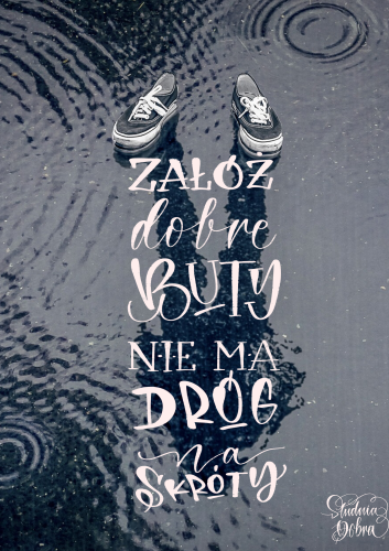 IMG_9482.PNG