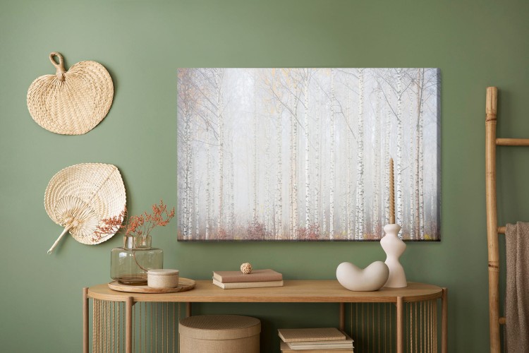 Obraz Na Płótnie Brzozowy Las We Mgle