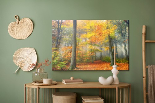 Obraz Na Płótnie Mglisty Las Jesienią