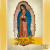 146AFBA3-8180-43BD-B091-D70FDD044DA2.png